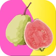 9x9x.app1.4.3冈本