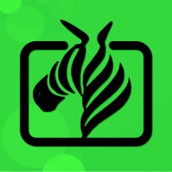 菠萝影视手机版下载入口