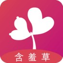 野花日本大全免费观看6高清版免费版
