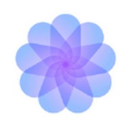 花季传媒app下载免费观看大全