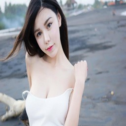 亚洲MV无马玫瑰园99：探索音乐与视觉的无缝结合
