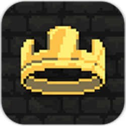 王国新大陆联机版_logo