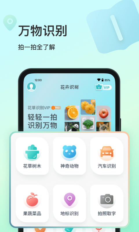 花卉识别4