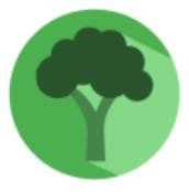 Broccoli软件下载