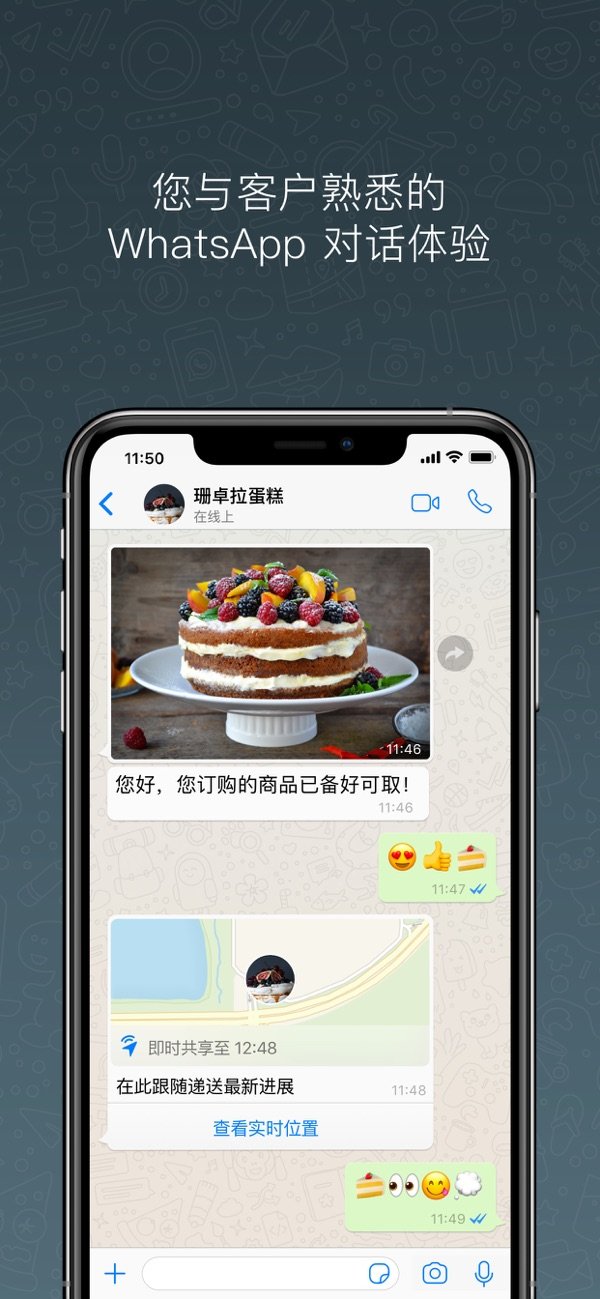 whatsappbusinesspc端0