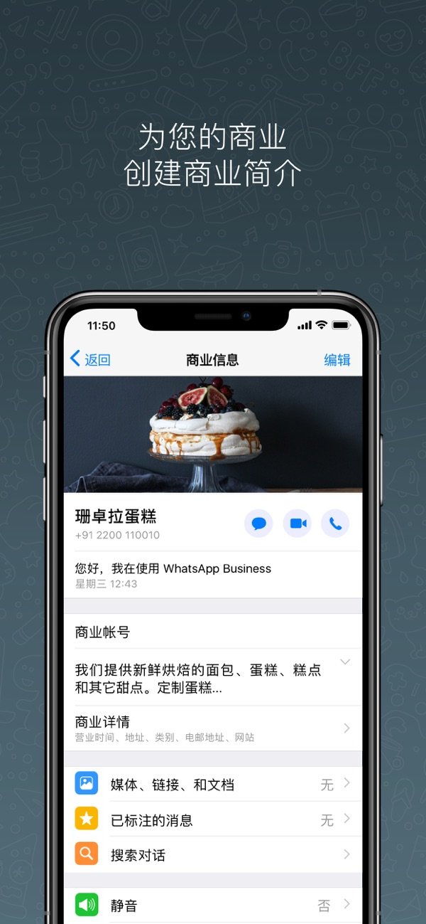 whatsappbusinesspc端